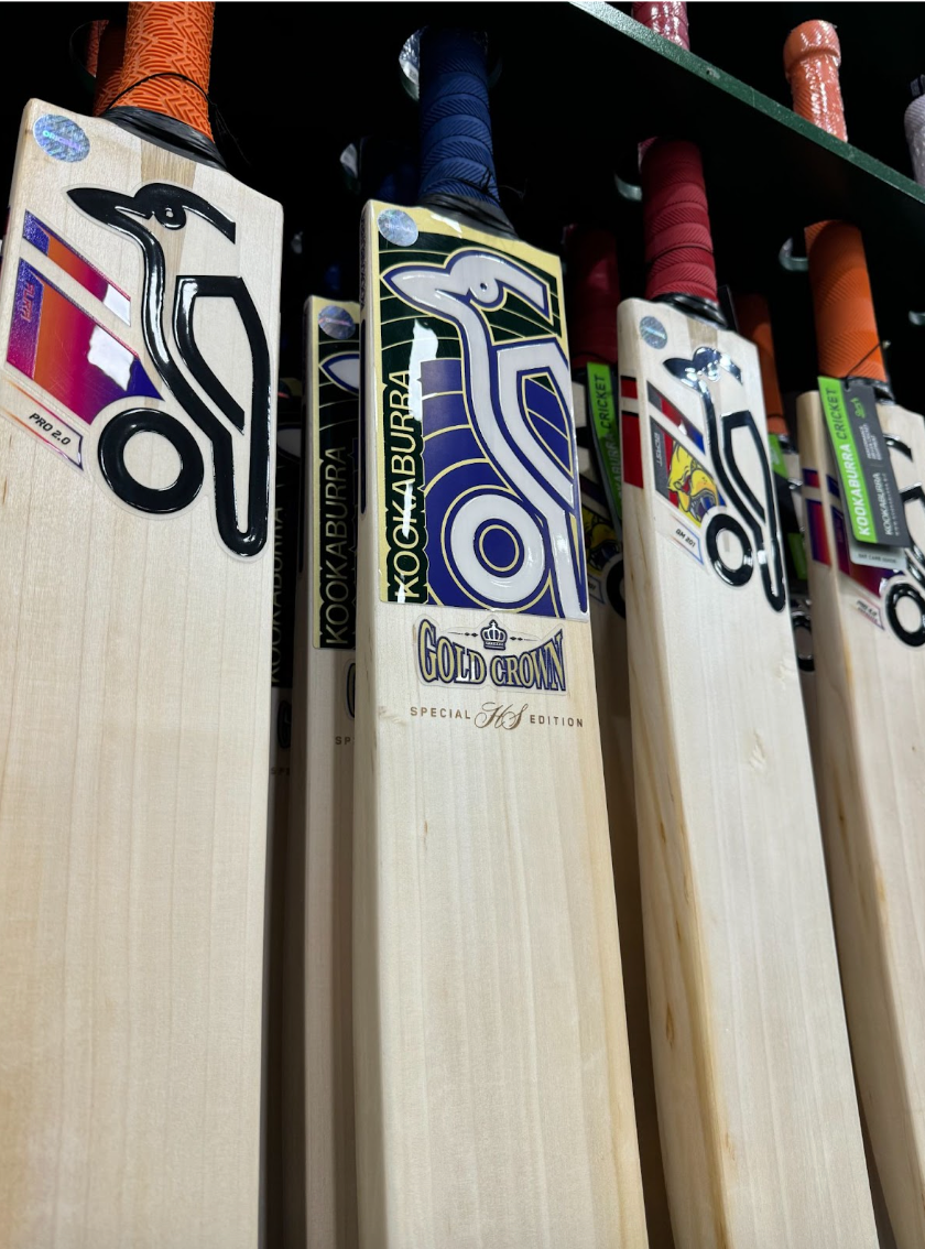 Kashmir Willow vs English Willow