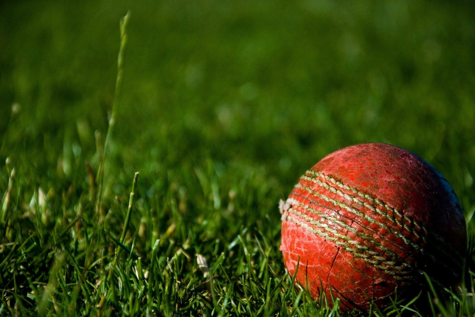 What Is a Cricket Ball Made Of?