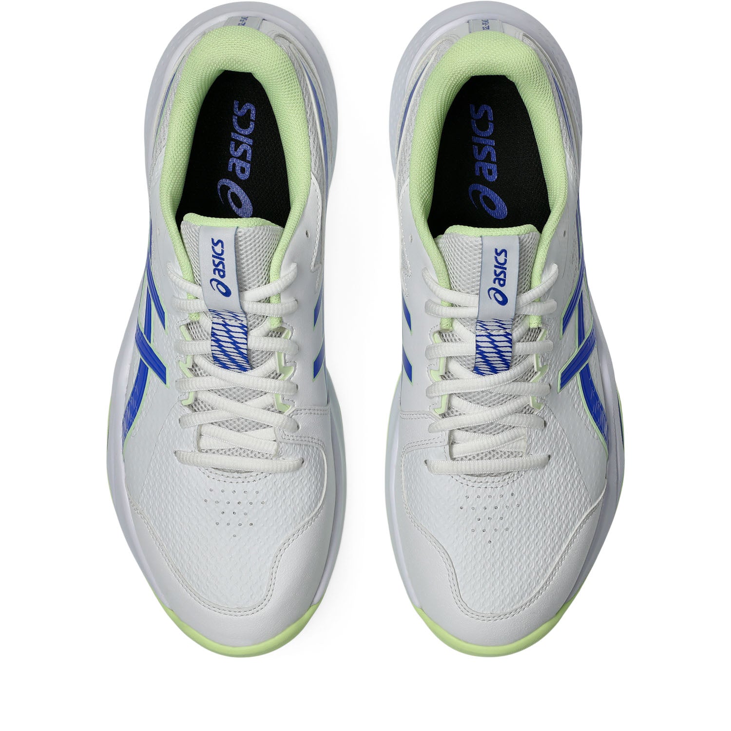 Asics Gel-Peake 3 Rubber Cricket Shoe