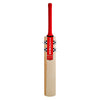 Gray-Nicolls Astro Players Edition Cricket Bat