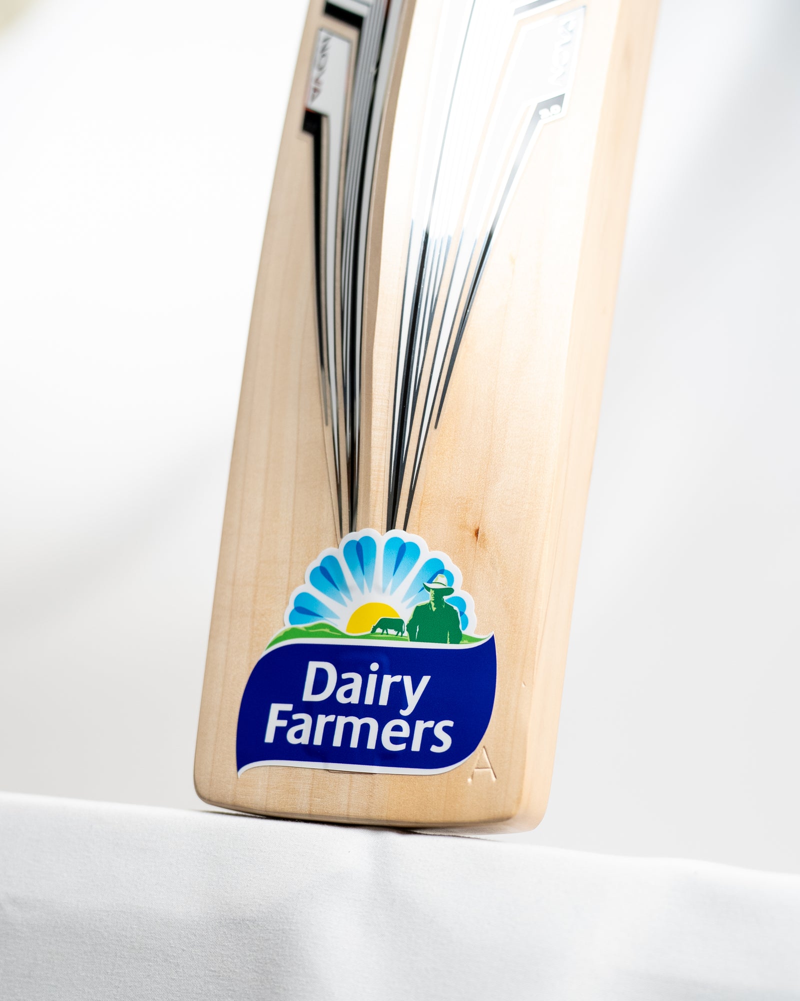 Gray-Nicolls Nova TH123 Cricket Bat