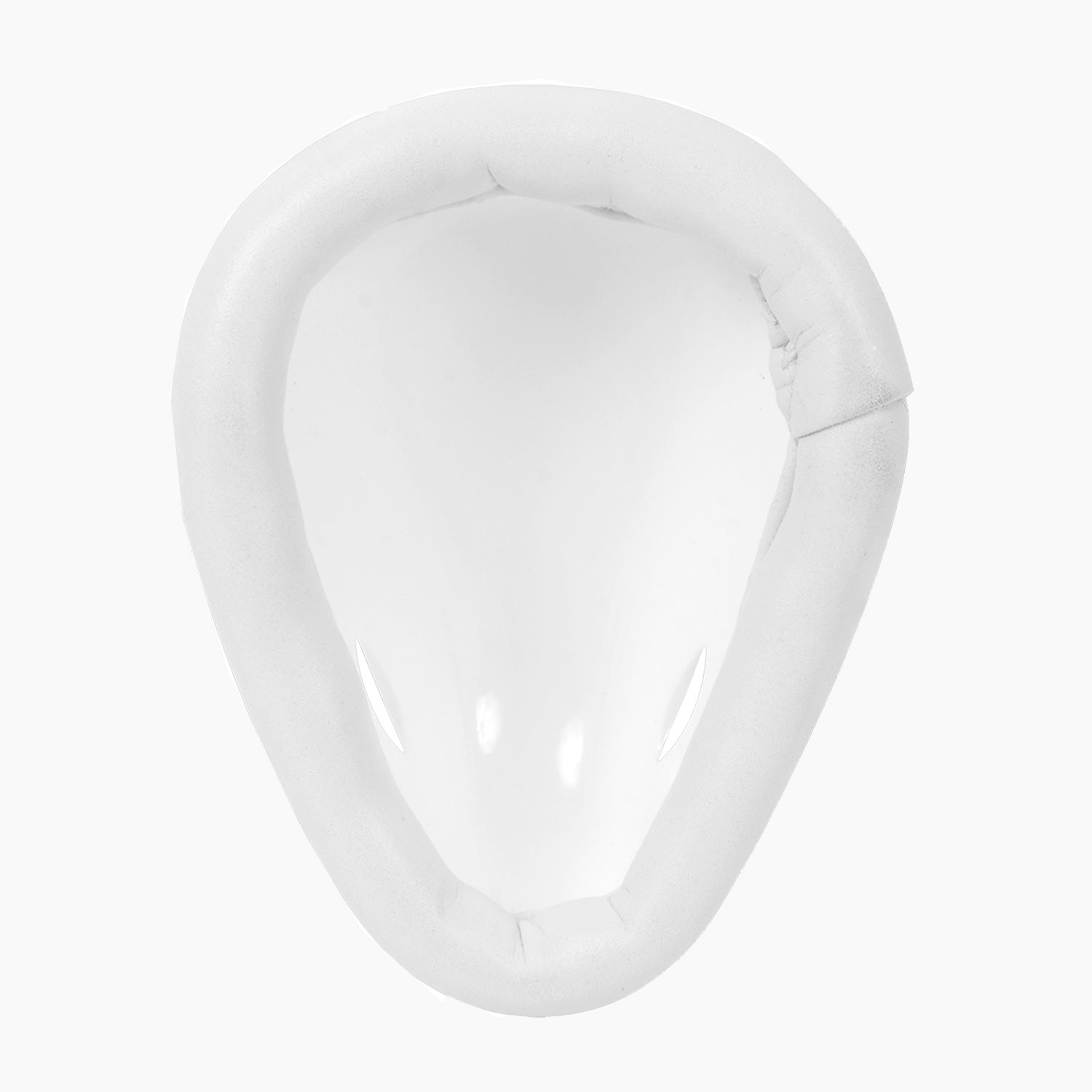 24/25 DSC Attitude Protector