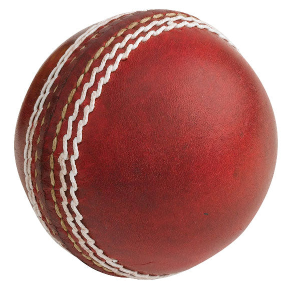 Kingsport Autograph Ball - Kingsgrove Sports