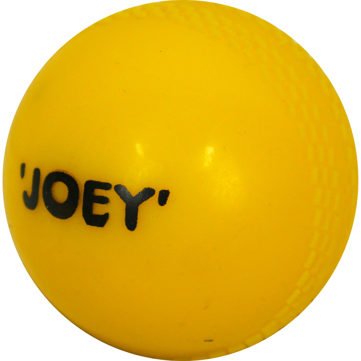 Kingsport Joey Plastic Cricket Ball