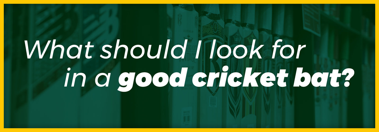 What Should I Look For in a Good Cricket Bat?