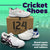 Cricket Shoes