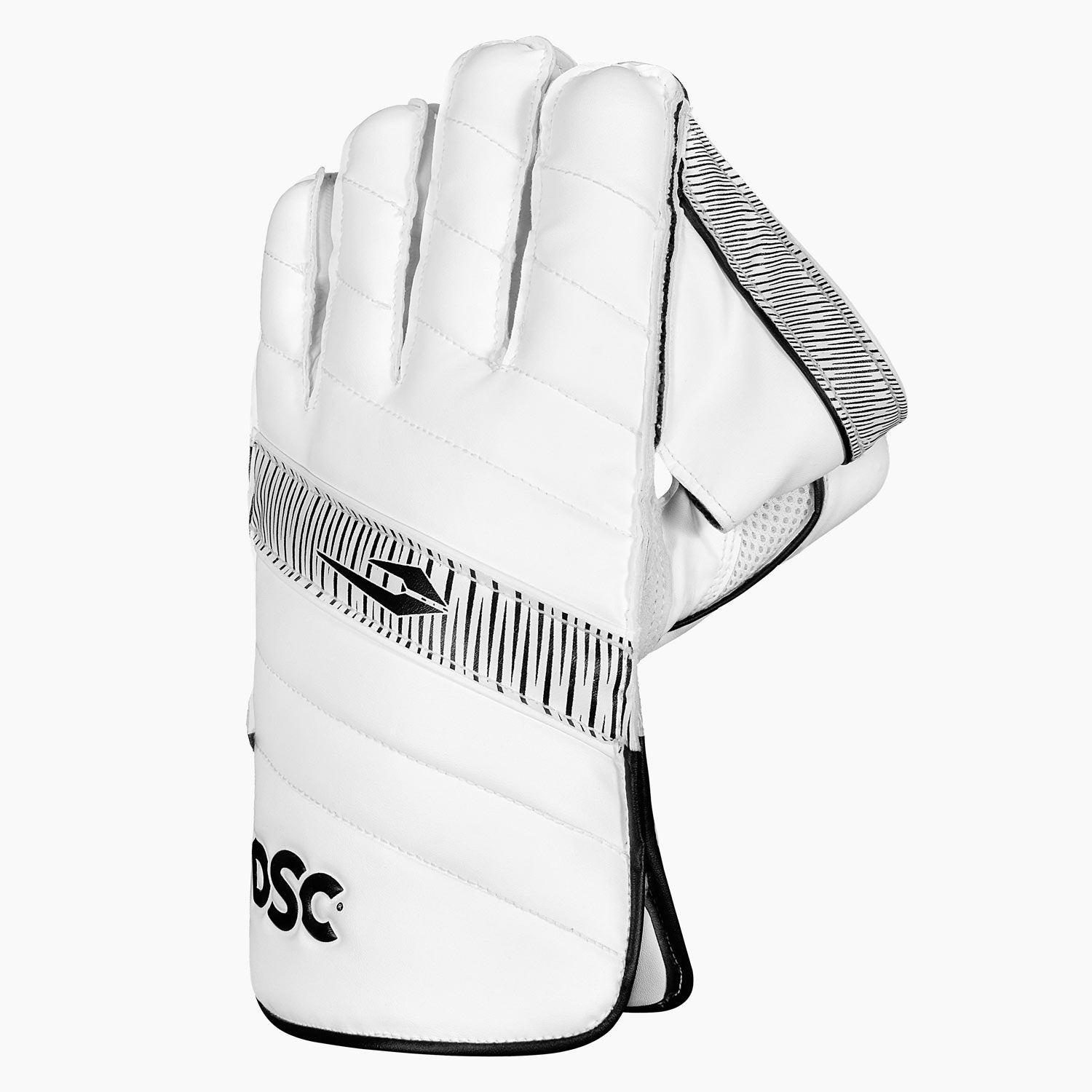 DSC Blak 11 Wicket Keeping Gloves