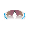 Oakley Radar Sunglasses