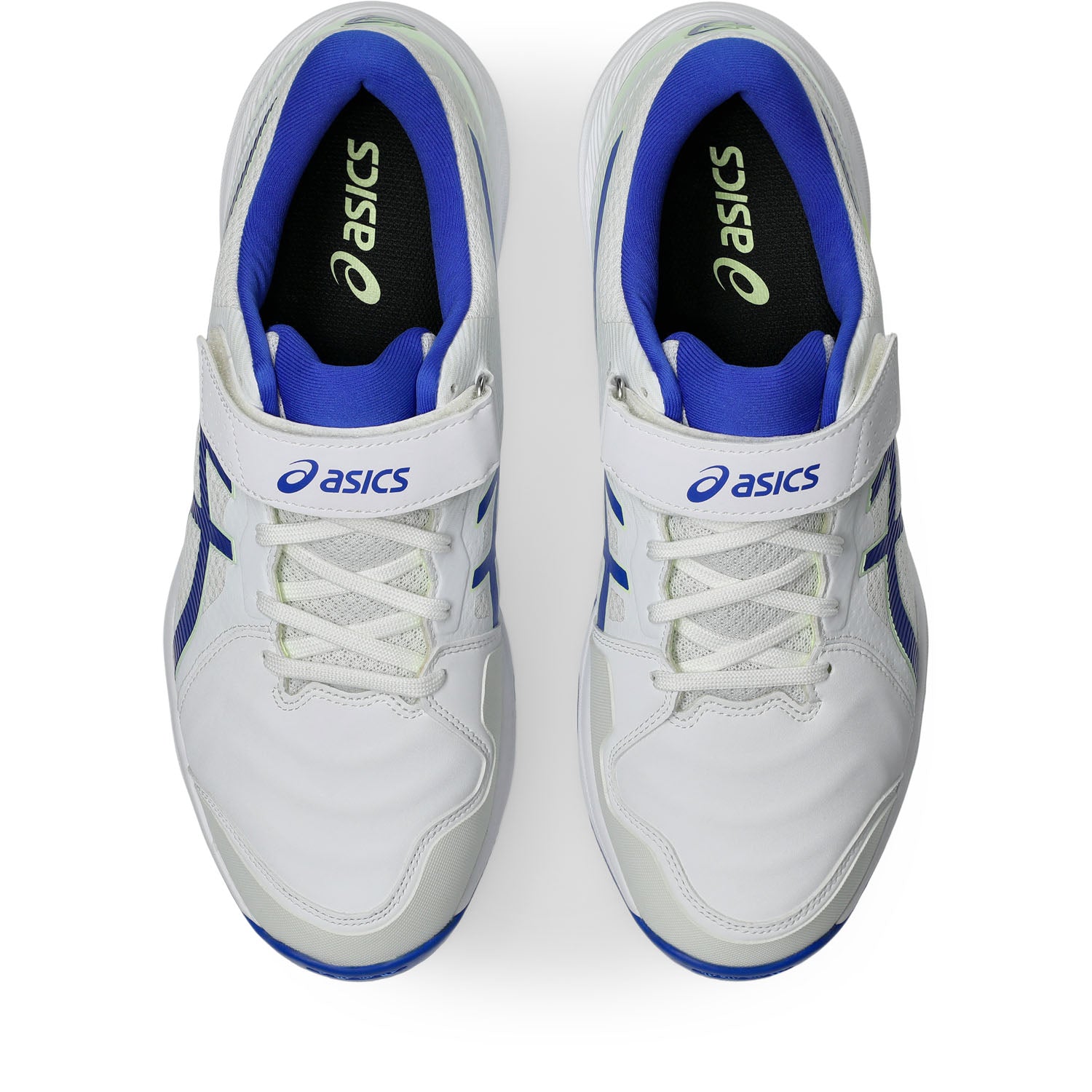 Asics Speed Menace FF Full Spike Cricket Shoe