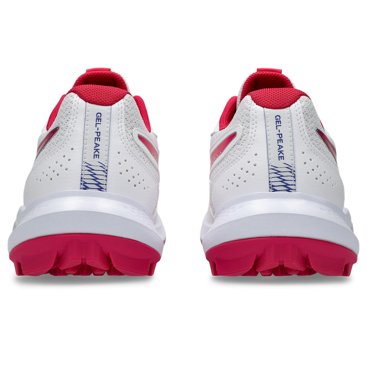 Asics Gel-Peake 3 Rubber Cricket Shoe