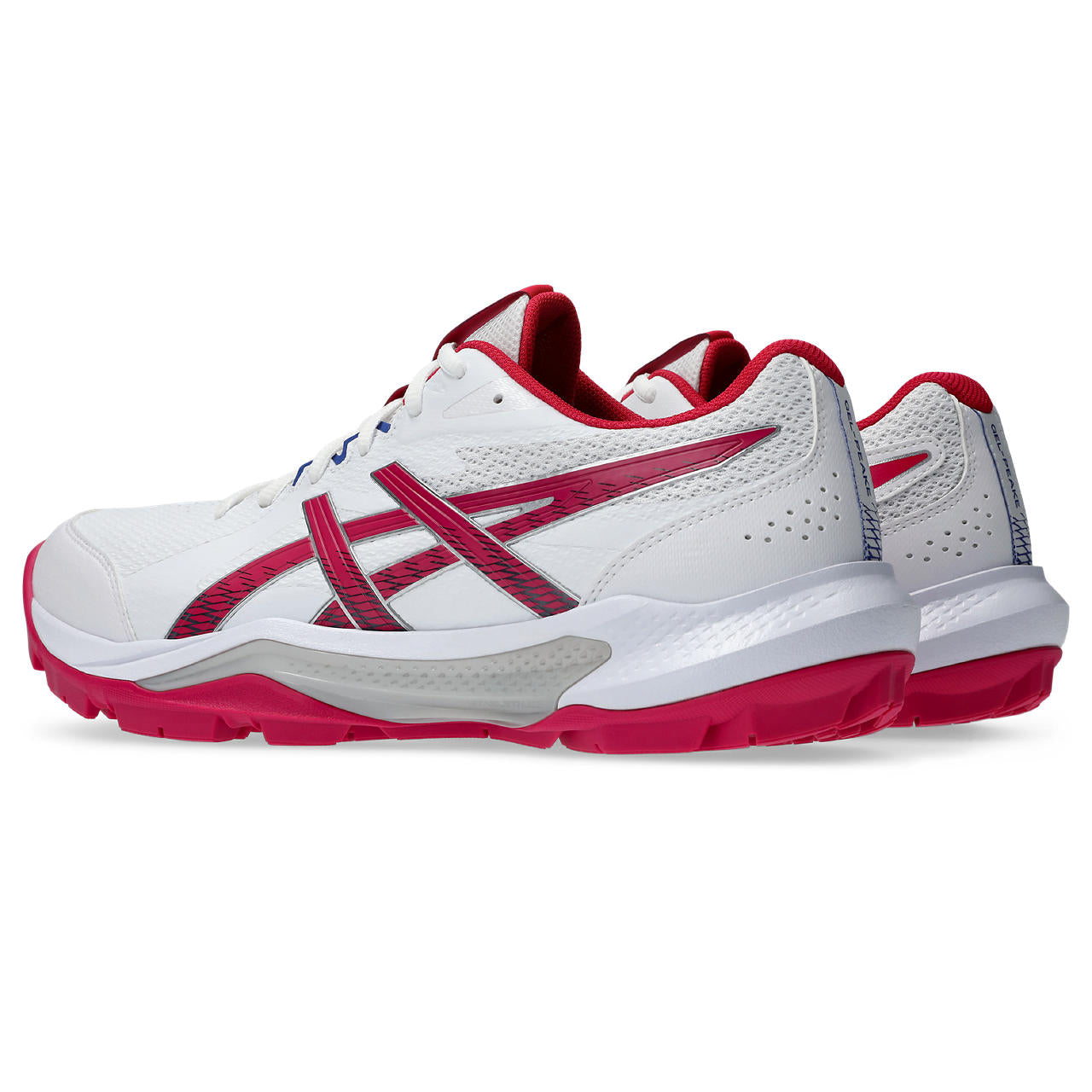 Asics Gel-Peake 3 Rubber Cricket Shoe