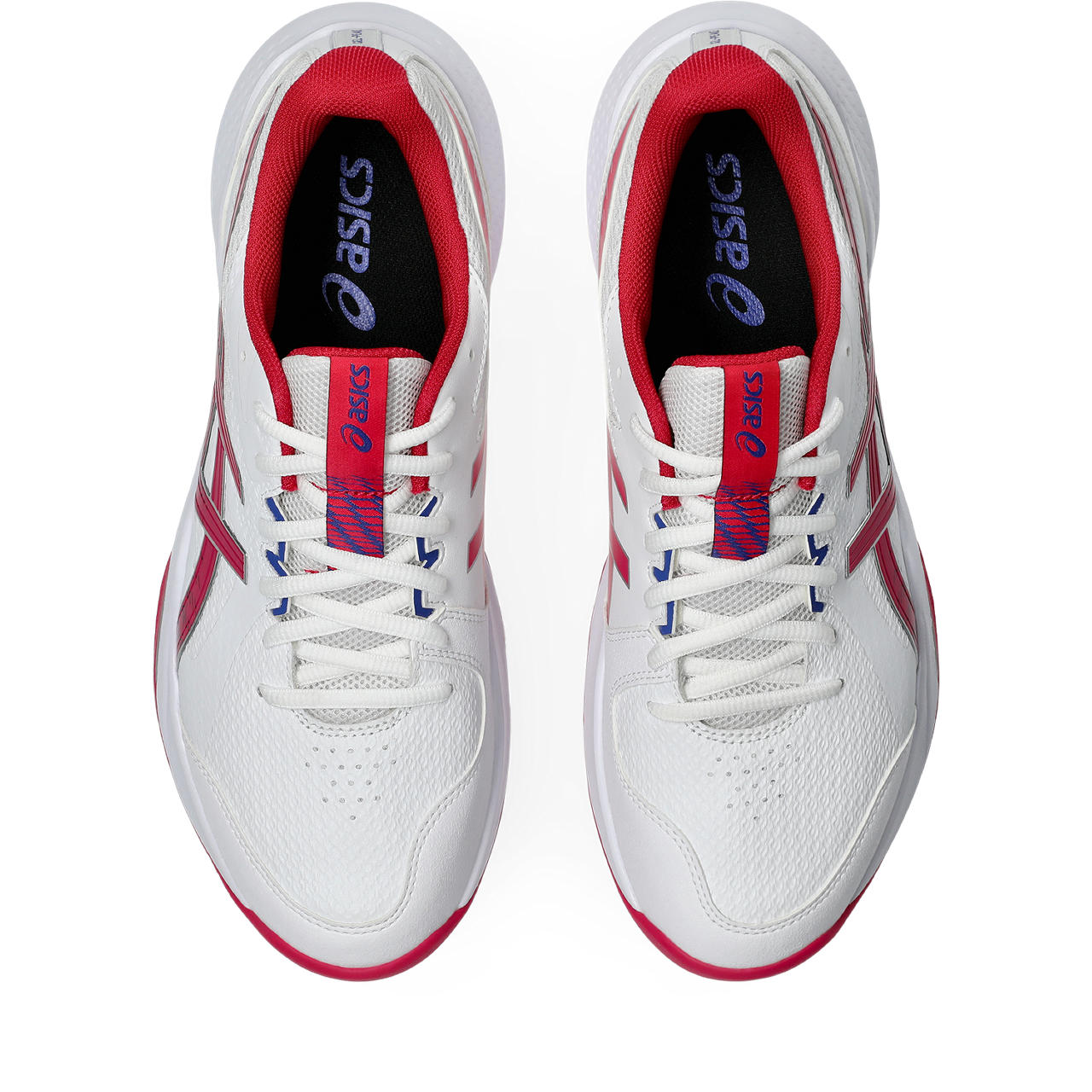 Asics Gel-Peake 3 Rubber Cricket Shoe
