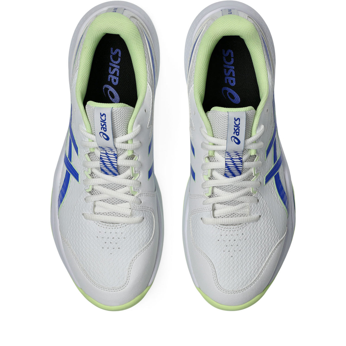 Asics Gel-Peake 3 Rubber Cricket Shoe