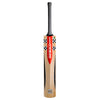 Gray-Nicolls Silver Cricket Bat