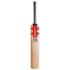 Gray-Nicolls Silver Cricket Bat