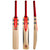 Gray-Nicolls Giant Cricket Bat