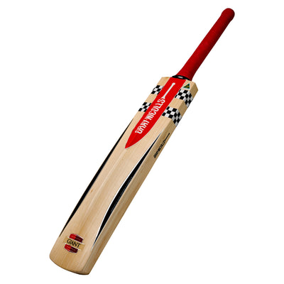 Gray-Nicolls Giant Cricket Bat