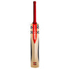 Gray-Nicolls Giant Cricket Bat