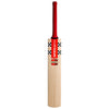 Gray-Nicolls Giant Cricket Bat