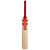 Gray-Nicolls Giant Cricket Bat