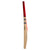 Gray-Nicolls Giant Cricket Bat