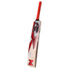 CA Gold 5000 Cricket Bat