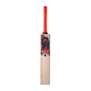 CA Gold 5000 Cricket Bat