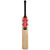 Gray-Nicolls Scoop Pro Balance 1100 Cricket Bat