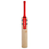 Gray-Nicolls Astro 650 Cricket Bat