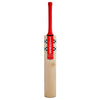 Gray-Nicolls Astro 650 RPlay Cricket Bat