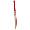 Gray-Nicolls Astro 800 Cricket Bat