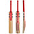 Gray-Nicolls Astro 800 Junior Cricket Bat
