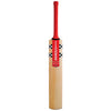 Gray-Nicolls Astro 800 Junior Cricket Bat