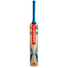 Gray-Nicolls Revel Players Edition Cricket Bat