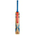Gray-Nicolls Revel Players Edition Cricket Bat