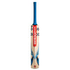 Gray-Nicolls Revel Strike RPlay Junior KW Bat