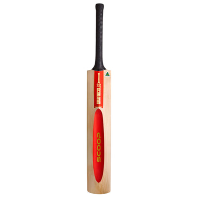 Gray-Nicolls Scoop 50th Anniversary 5 Star Cricket Bat