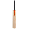 Gray-Nicolls Scoop 50th Anniversary 5 Star Cricket Bat