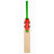 Gray-Nicolls Fusion Players Edition Cricket Bat