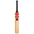 Gray-Nicolls Spectre 800 Cricket Bat
