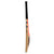 Gray-Nicolls Spectre 800 Cricket Bat