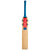 Gray-Nicolls Arctos 950 Cricket Bat