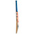 Gray-Nicolls Arctos 950 Cricket Bat