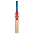 Gray-Nicolls Arctos 650 Cricket Bat