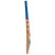 Gray-Nicolls Arctos 650 Cricket Bat