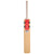 Gray-Nicolls Nova 3.0 1200 Junior Cricket Bat