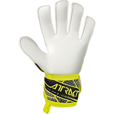 Reusch Attrakt Solid Goal Keeping Glove