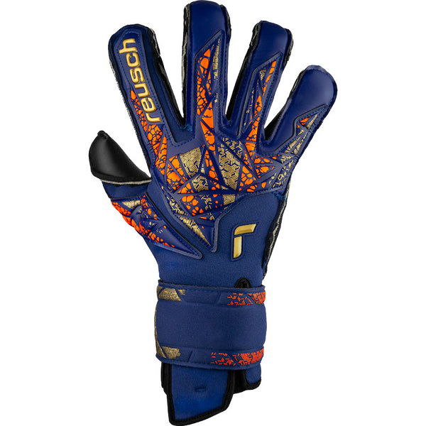 Reusch goalkeeper gloves 2019 online