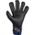 2024 Reusch Attrakt Duo Evolution Goal Keeping Glove