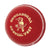 Kookaburra Special Test Ball